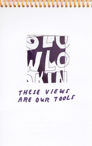 Slow Looking: These Views Are Our Tools