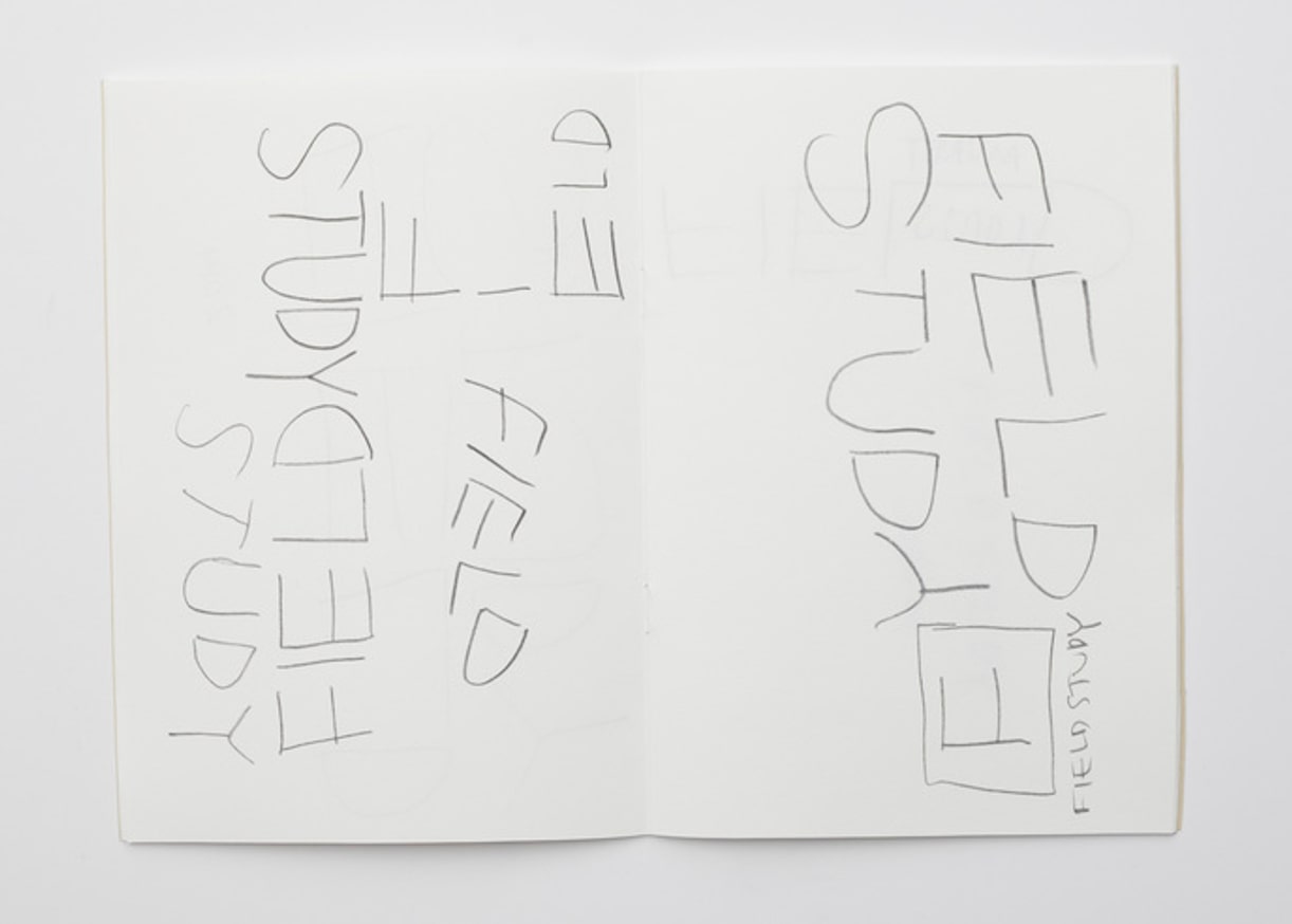 Field Study thumbnail 3