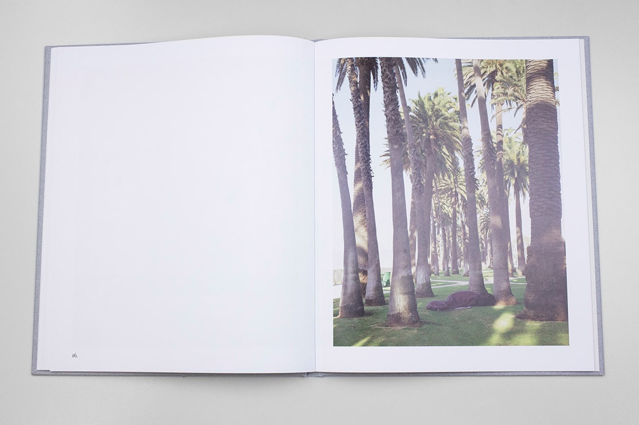 Los Angeles Palms thumbnail 5