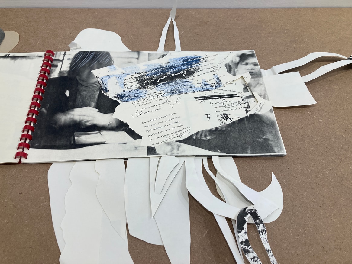 Cut Book (The Opaque Glass : A Poem by Barbara A. Roux in Collaboration with Coco Gordon) thumbnail 3