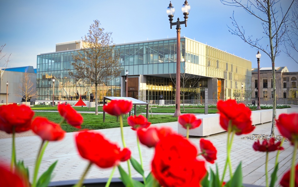 View of the cantilevered corner of Weil Hall as seen in the distance through a patch of bright red tulips.