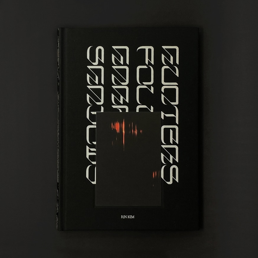 Hunters Follow Harpy Shadows thumbnail 2