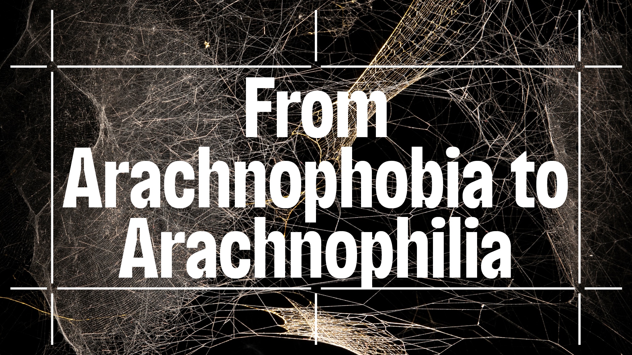 The event title "From Arachnophobia to Arachnophilia" overlaid on a photo of a dramatically lit spider web in a dark gallery space.