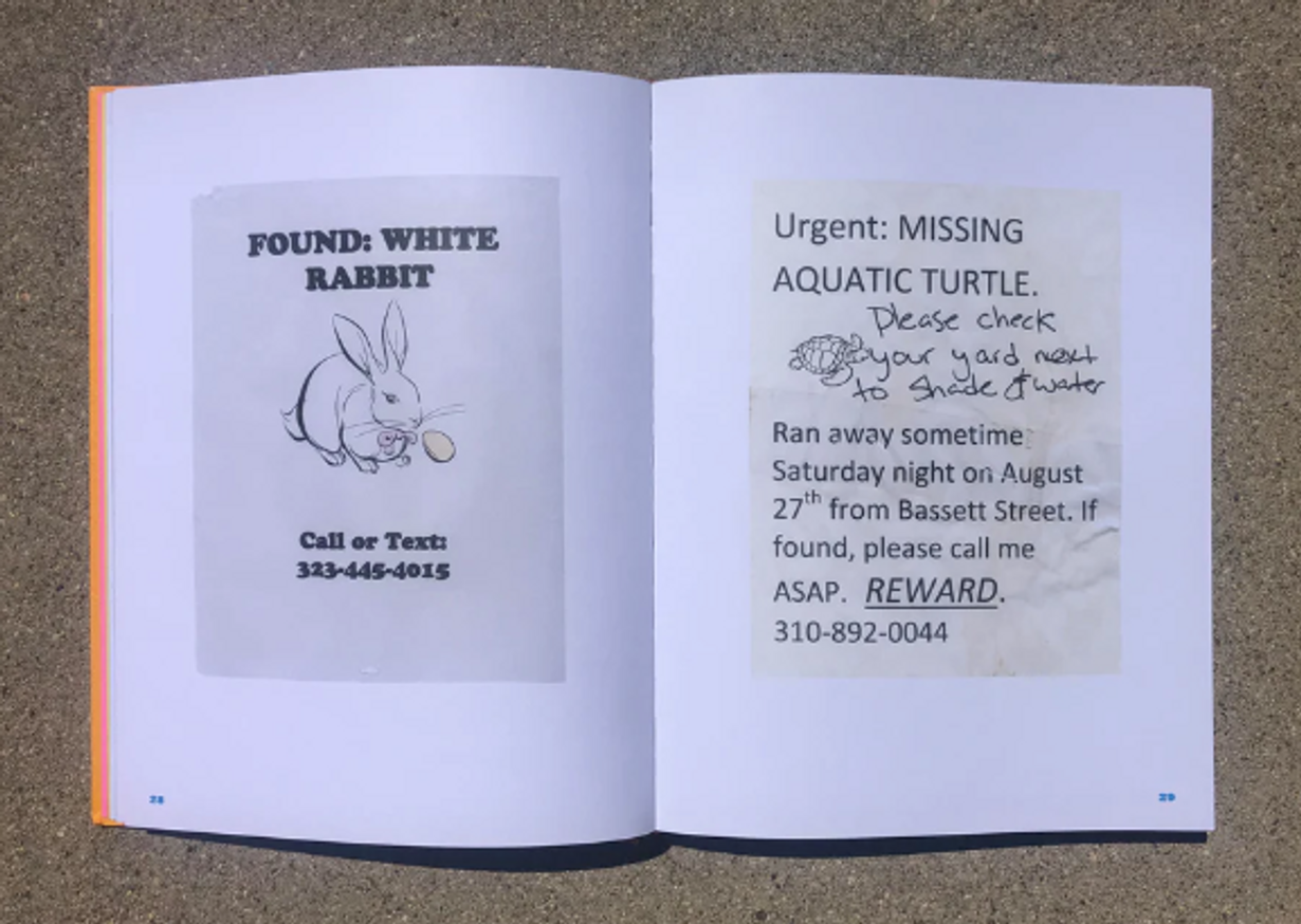 Still Missing thumbnail 8