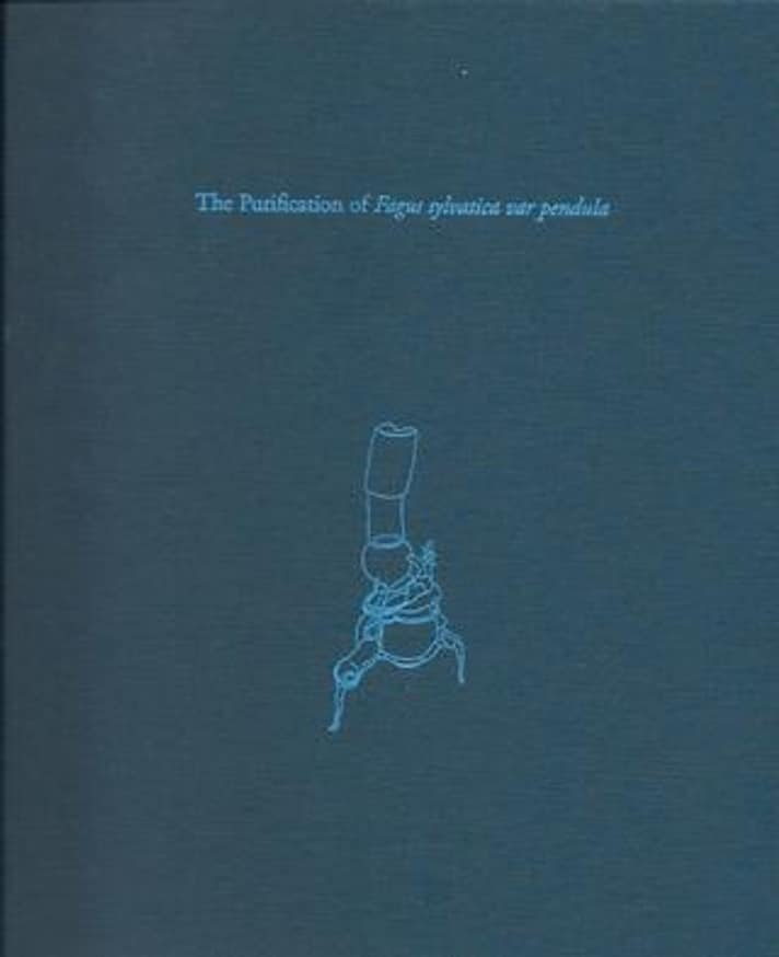 The Purification of Fagus sylvatica var pendula