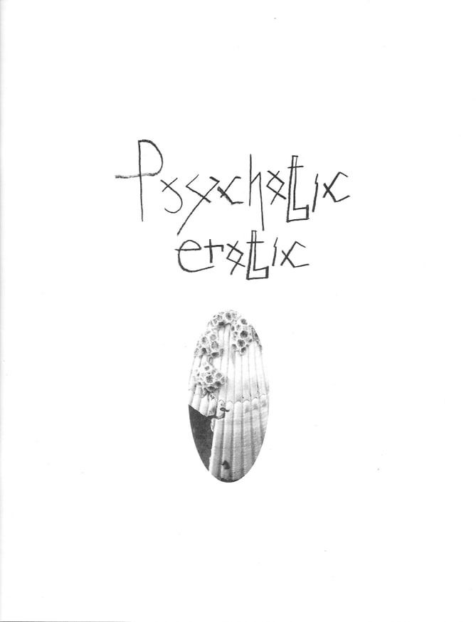 Psychotic Erotic