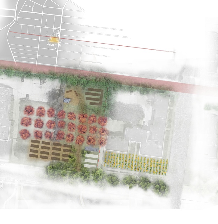 Site plan showing a garden planting. 