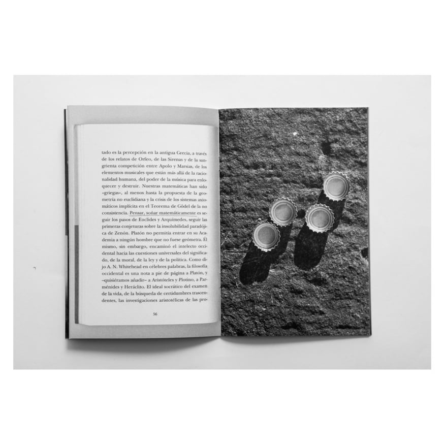 A Companion to Federico Clavarino's 'The Castle' thumbnail 3