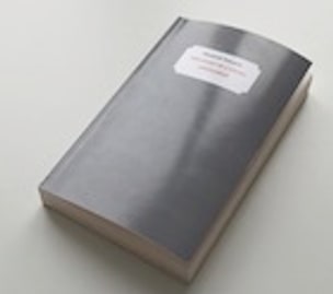 The Story of a Young Gentleman