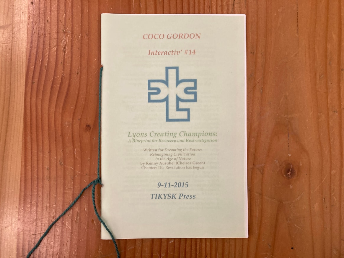 Lyons Creating Champions