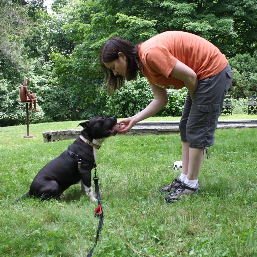 Jenny Bocchino, mom to Harlow & Reggie