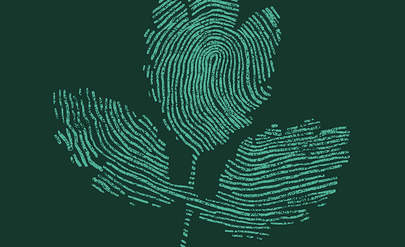 Getting started with essential reports