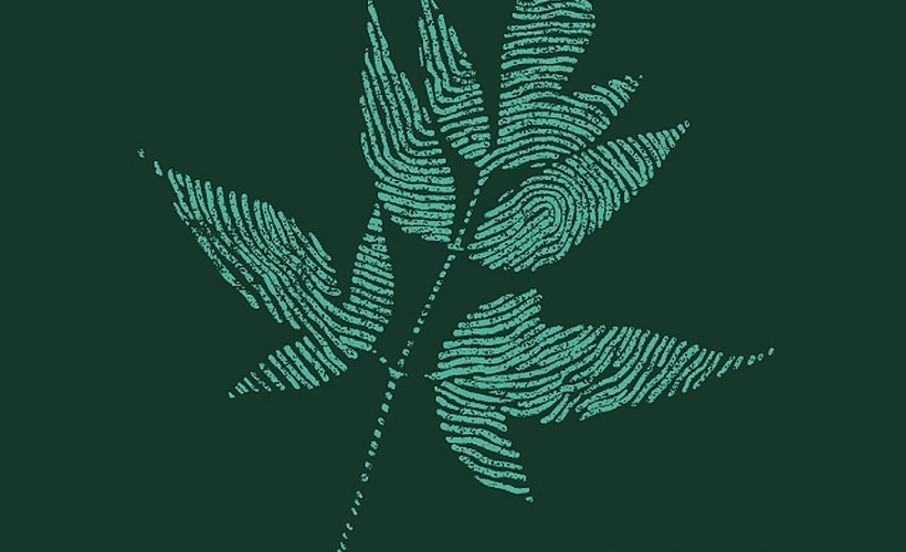 Understanding job statuses in Greenhouse