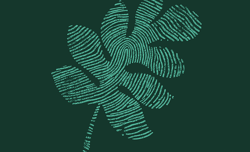 Resume anonymization