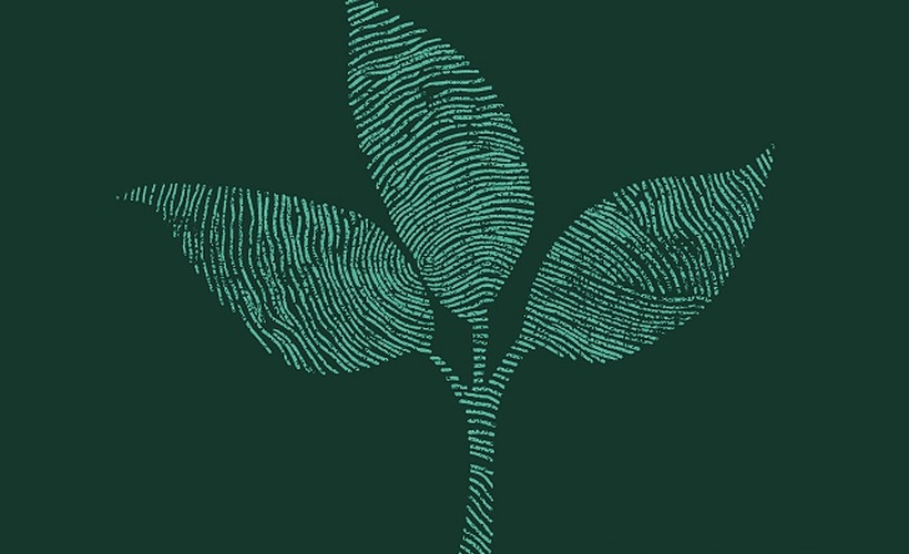 Sourcing automation workflows