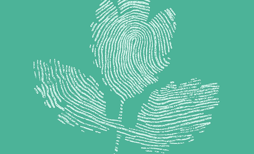 Improve your candidate experience