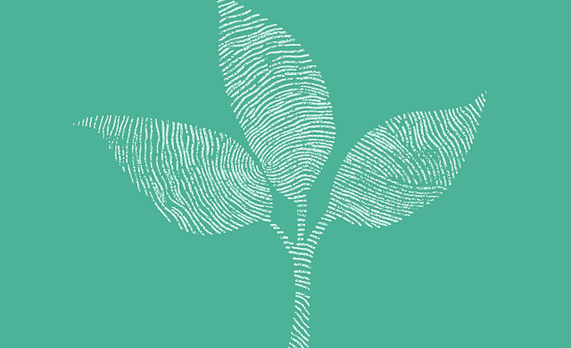 Understand and apply permissions in Greenhouse