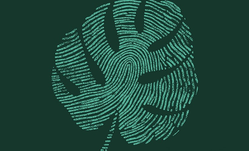 Simplified interviewing permissions