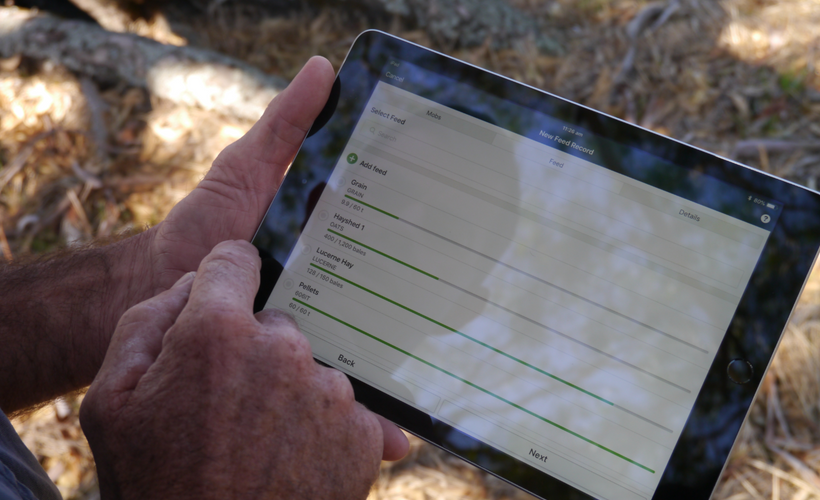 Audit and Compliance