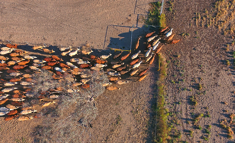 Streamline data and Record keeping