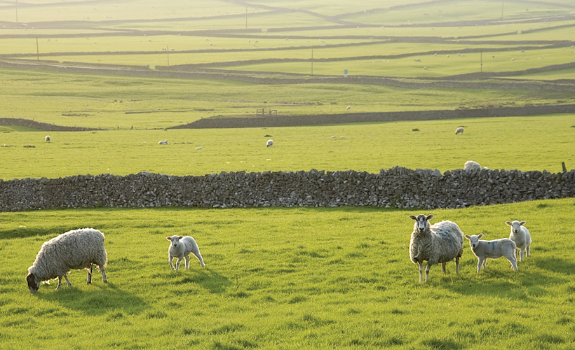 (UK) Connecting and Reconciling to Government Bodies