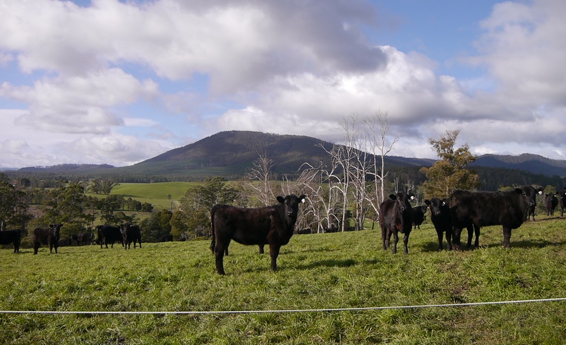 Reproduction and Fertility Management in AgriWebb (Mob)