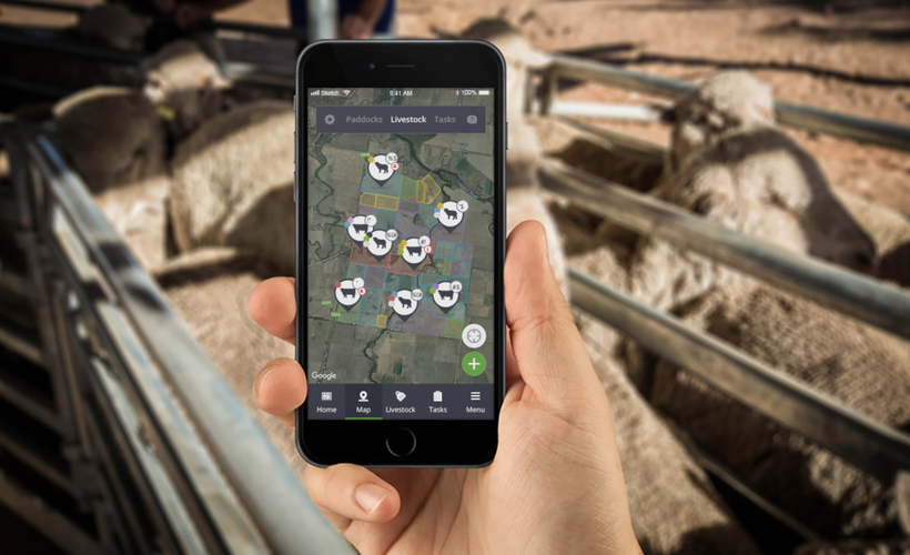 Team Communication and Productivity