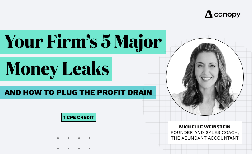 Your Firm’s 5 Major Money Leaks and How to Plug the Profit Drain