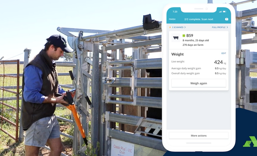 Hardware Connections & Live Session Set Up