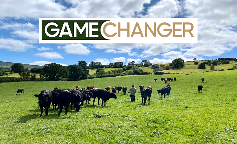 (UK) Gamechanger | Getting Started with AgriWebb
