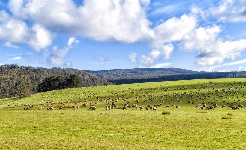 Cropping and Paddock Management