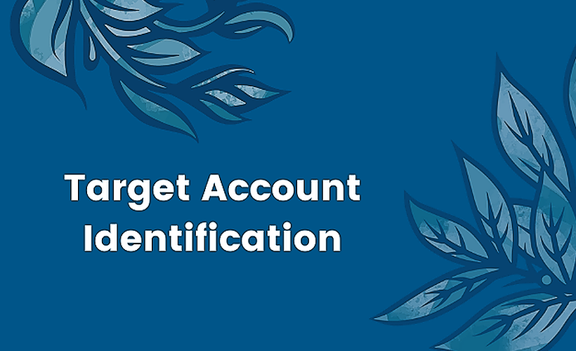 Target Account Identification