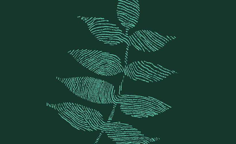 The Greenhouse Recruiting chrome extension