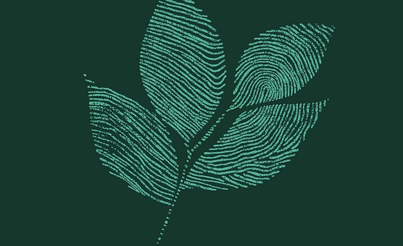 Navigate Greenhouse: candidate profile