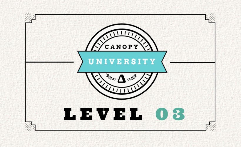 Mastering Insights (L3) 