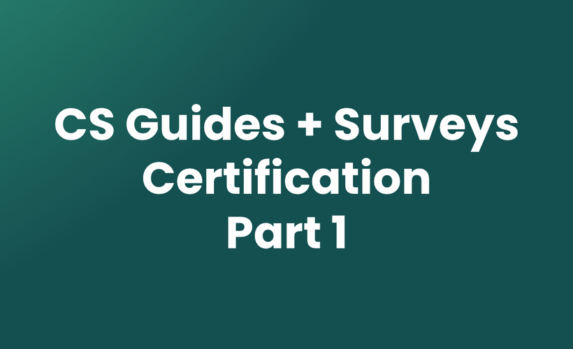 CS: Guides + Surveys - Part 1 