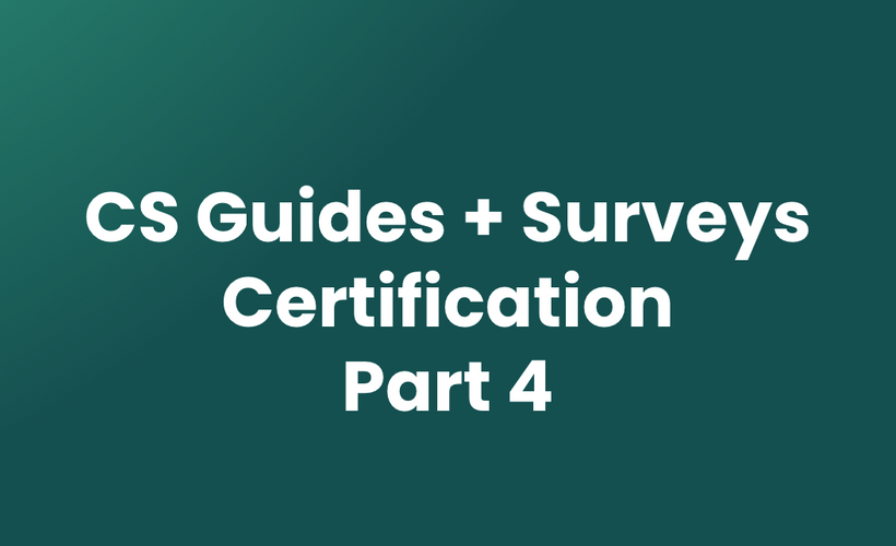 CS: Guides + Surveys - Part 4
