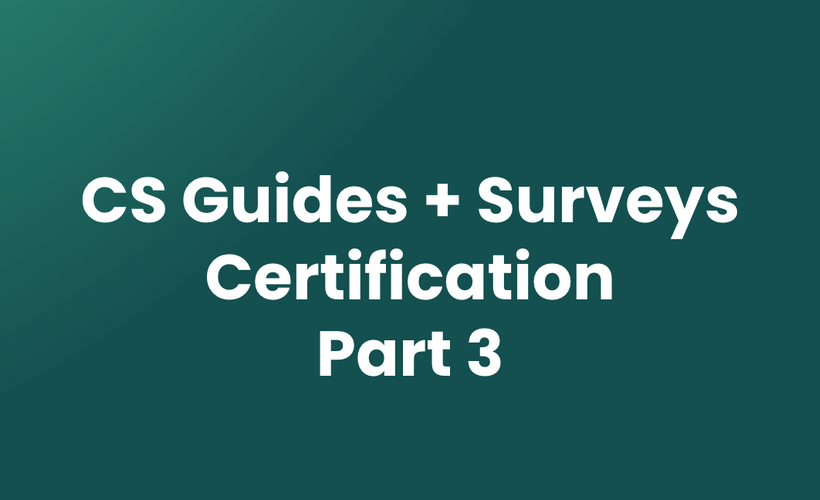 CS: Guides + Surveys - Part 3
