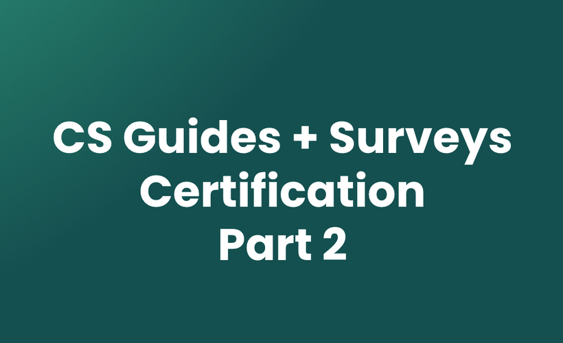 CS: Guides + Surveys - Part 2