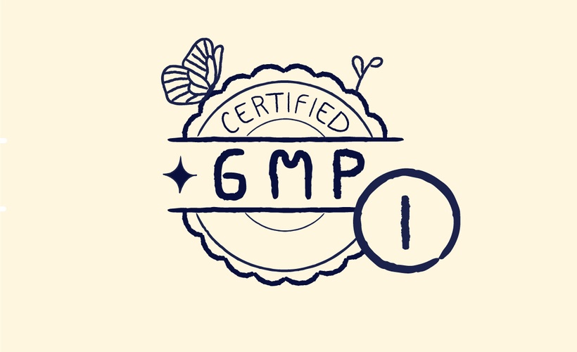 Good Manufacturing Practices for Medicinal Products (EU GMP Part I) Course