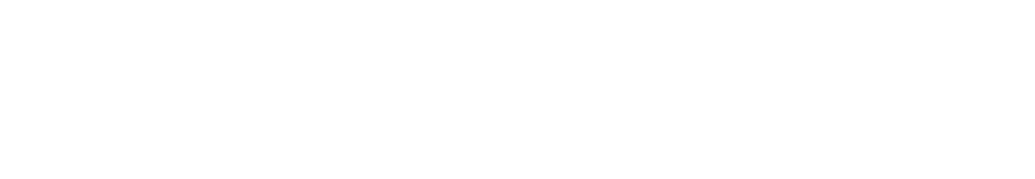 Shopify Ignite