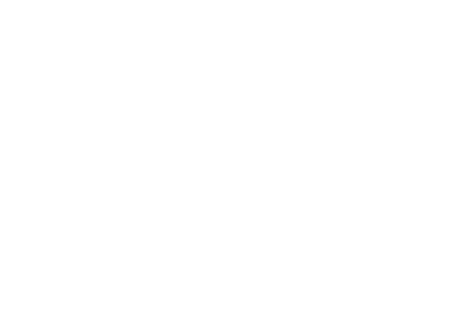 Skan University